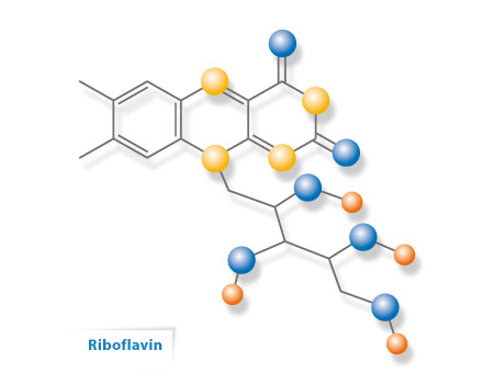 ricrolin_2_riboflavina_molecola